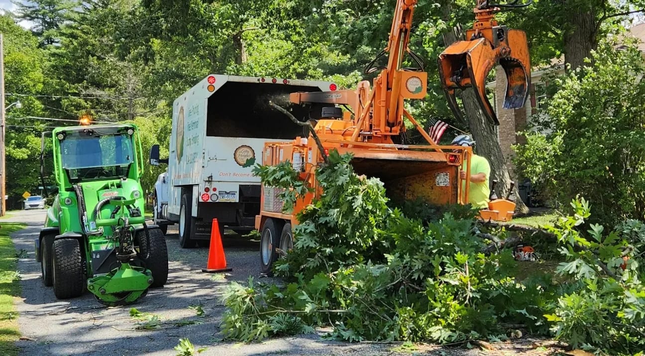 Lofty Heights Tree Care Chipper Services