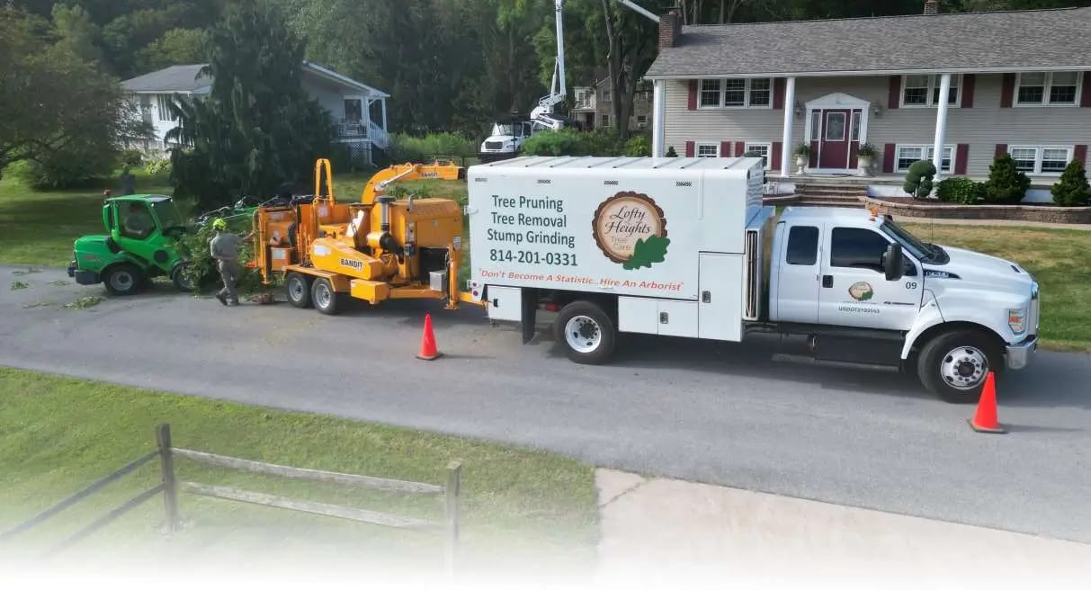 Lofty Heights Tree Care Chipper Services