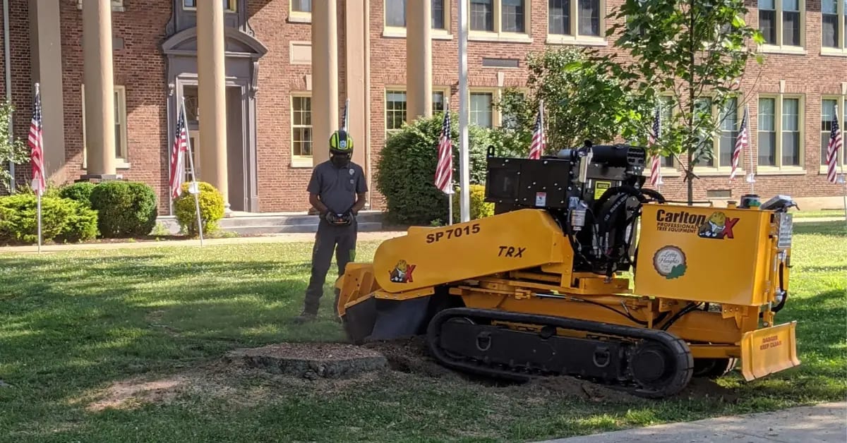 Stump Removal & Stump Grinding in Altoona & Blair County, PA