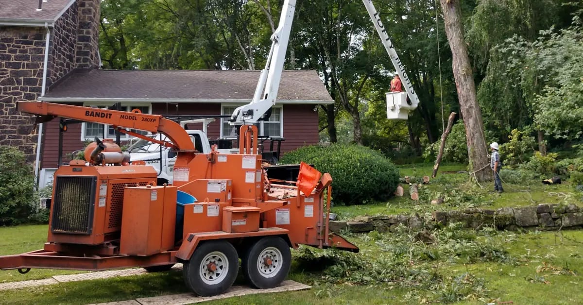 Shrub Removal & Shrub Trimming in Altoona & Blair County, PA