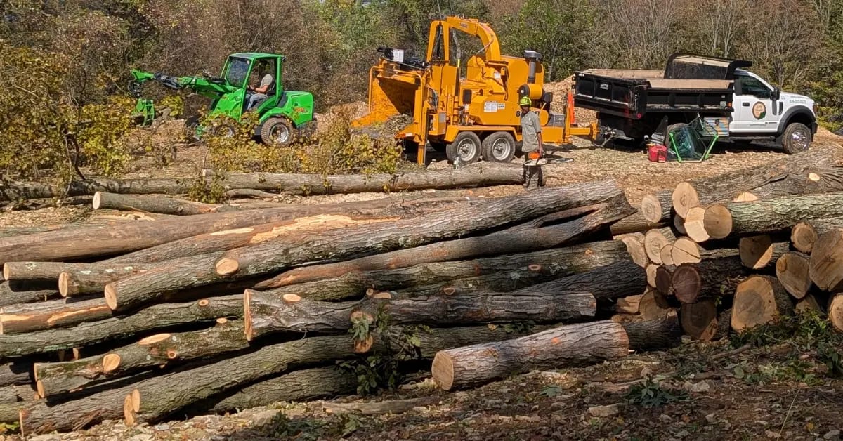 Land Clearing Services in Altoona & Blair County, PA