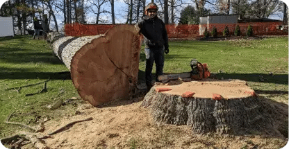 Tree Removal