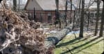 24/7 Emergency Tree Service