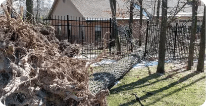 24/7 Emergency Tree Service