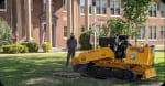 Stump Grinding & Removal