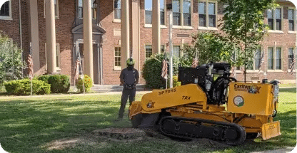 Stump Grinding & Removal
