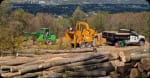 Land Clearing