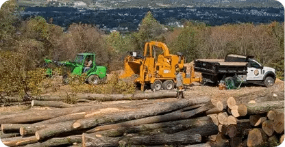 Land Clearing
