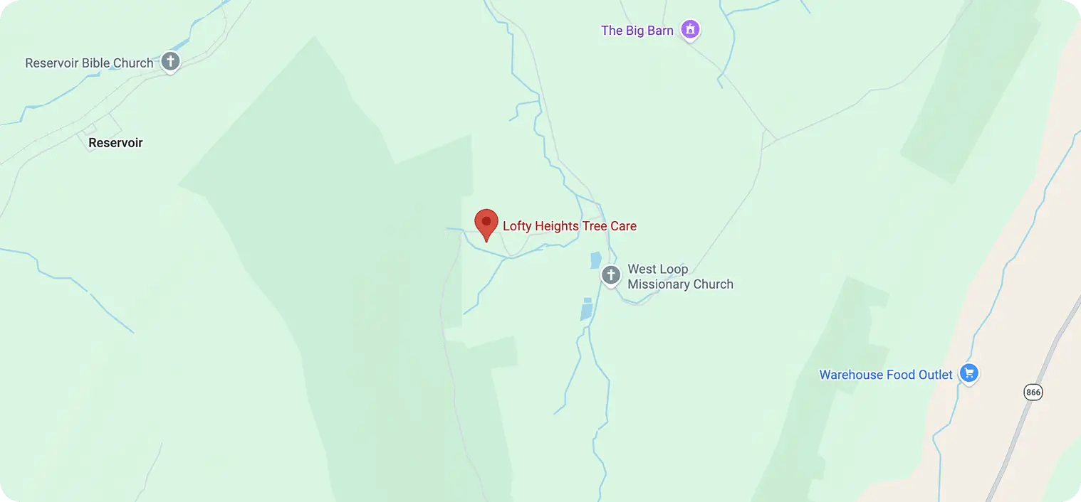 Lofty Heights Tree Care Service Areas